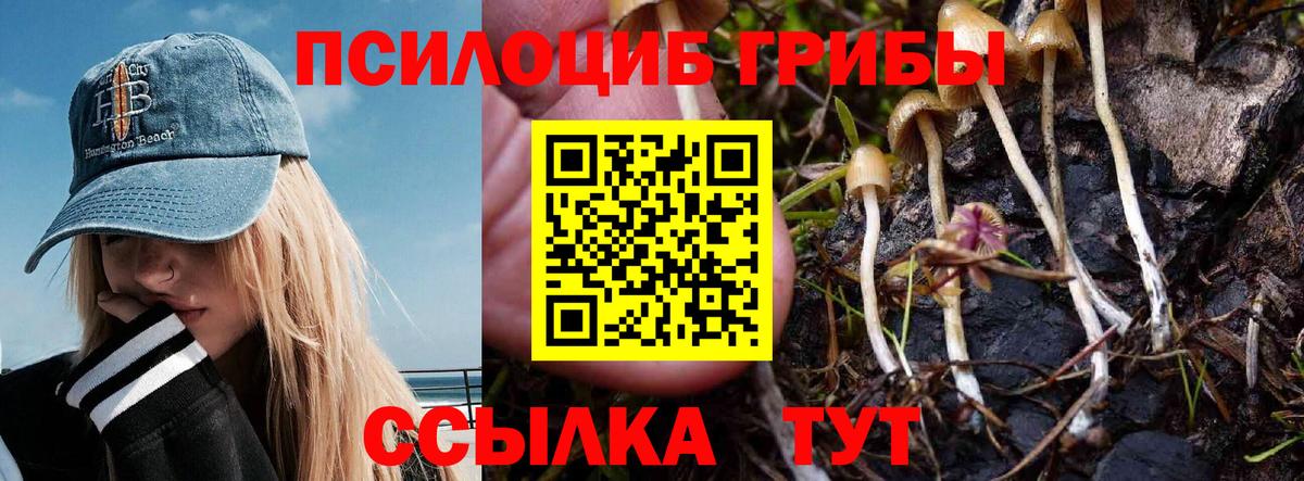 Псилоцибиновые грибы ЛСД Норильск